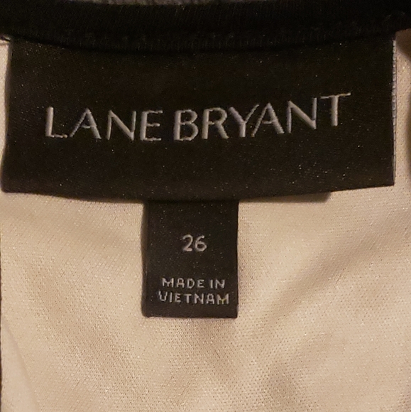Lane Bryant Beige and Black Dress - Picture 6 of 6